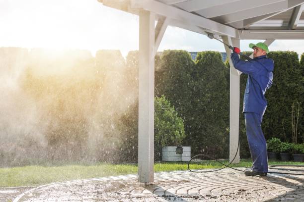 Best Gutter Cleaning  in Memphis, MO
